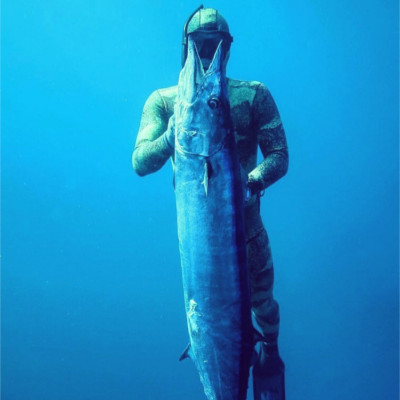 Spearfishing - Hannibal Lodge Panama adventure hostel adventure hotel