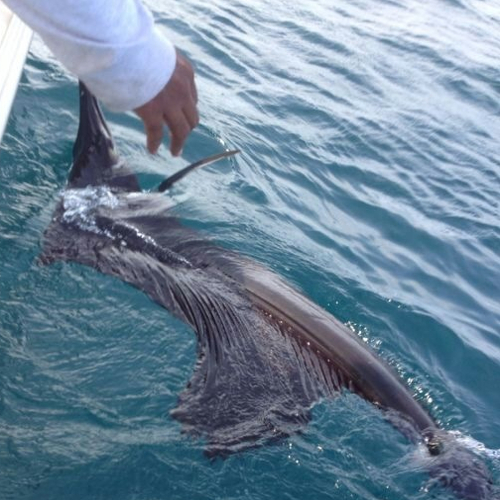 Hannibal Lodge Panama, Adventure Hostel - Coiba Island Tour