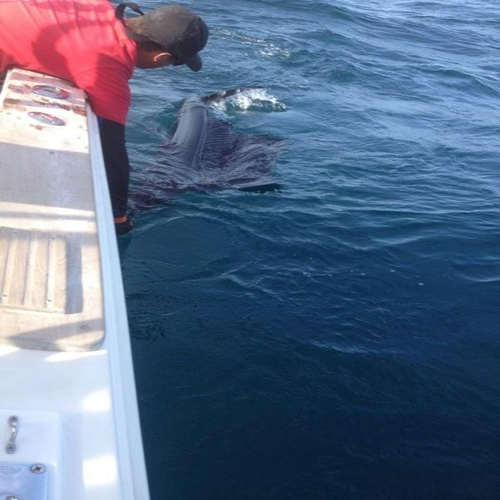 Hannibal Lodge Panama, Adventure Hostel - Coiba Island Tour