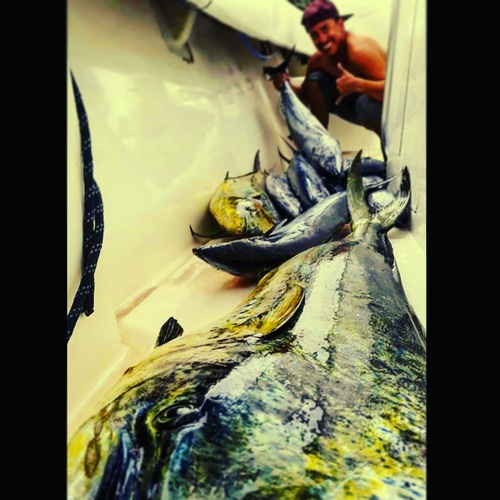 Hannibal Lodge Panama, Adventure Hostel - Coiba Island Tour