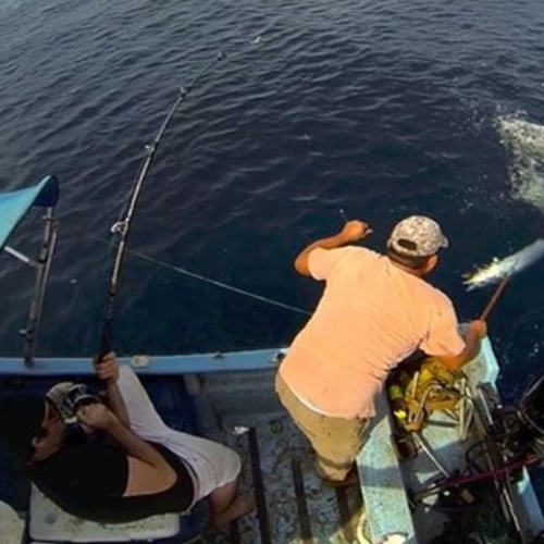 Hannibal Lodge Panama, Adventure Hostel - Coiba Island Tour