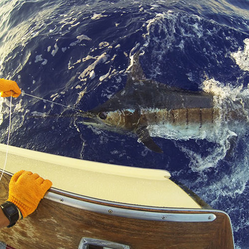 Hannibal Lodge Panama, Adventure Hostel - Coiba Island Tour