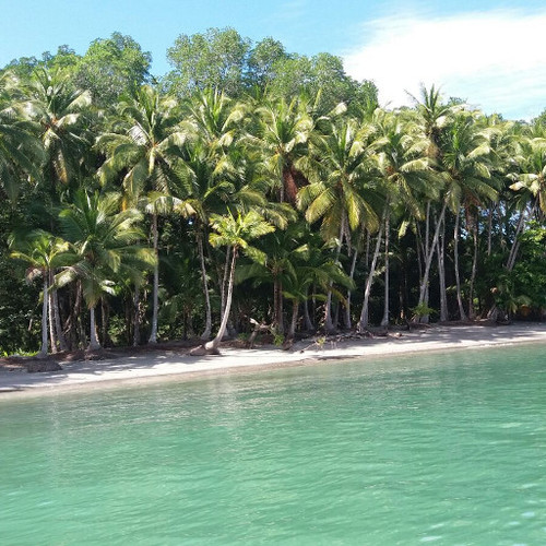 Hannibal Lodge Panama, Adventure Hostel - Coiba Island Tour