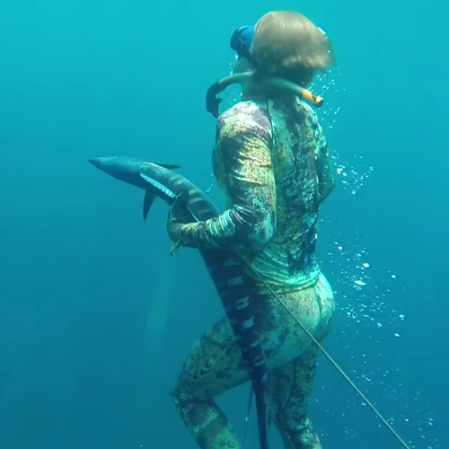 Hannibal Lodge Panama, Adventure Hostel - Coiba Island Tour