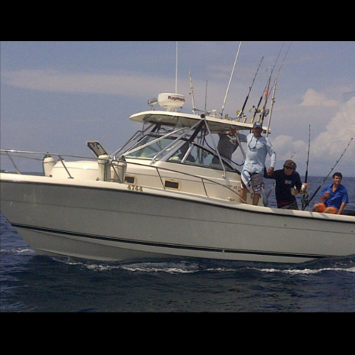 Hannibal Lodge Panama, Adventure Hostel - Coiba Island Tour