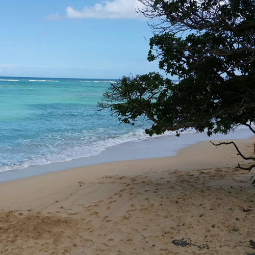 Hannibal Lodge Panama, Adventure Hostel - Coiba Island Tour