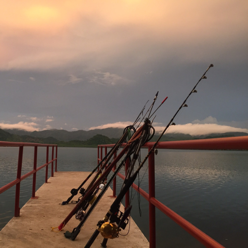 Hannibal Lodge Panama, Adventure Hostel - Coiba Island Tour