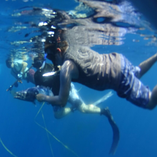 Hannibal Lodge Panama, Adventure Hostel - Coiba Island Tour