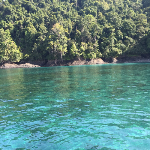 Hannibal Lodge Panama, Adventure Hostel - Coiba Island Tour