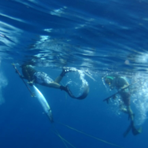 Hannibal Lodge Panama, Adventure Hostel - Coiba Island Tour