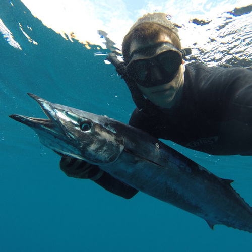 Hannibal Lodge Panama, Adventure Hostel - Coiba Island Tour