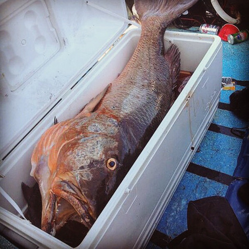 Hannibal Lodge Panama, Adventure Hostel - Coiba Island Tour