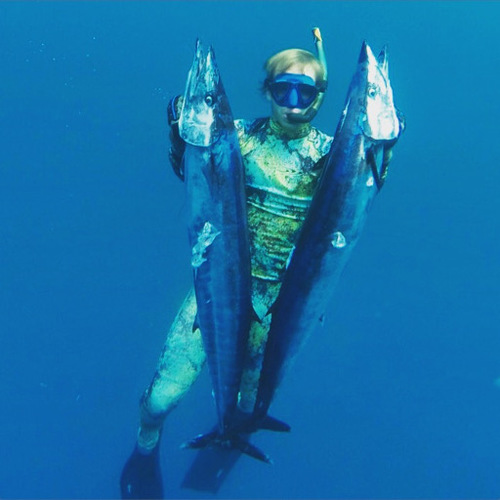 Hannibal Lodge Panama, Adventure Hostel - Coiba Island Tour