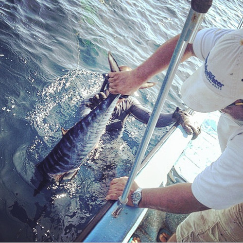 Hannibal Lodge Panama, Adventure Hostel - Coiba Island Tour