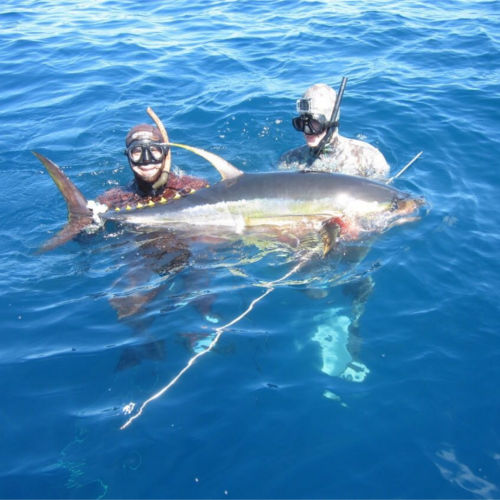 Hannibal Lodge Panama, Adventure Hostel - Coiba Island Tour