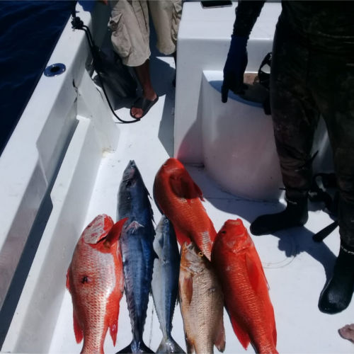 Hannibal Lodge Panama, Adventure Hostel - Coiba Island Tour